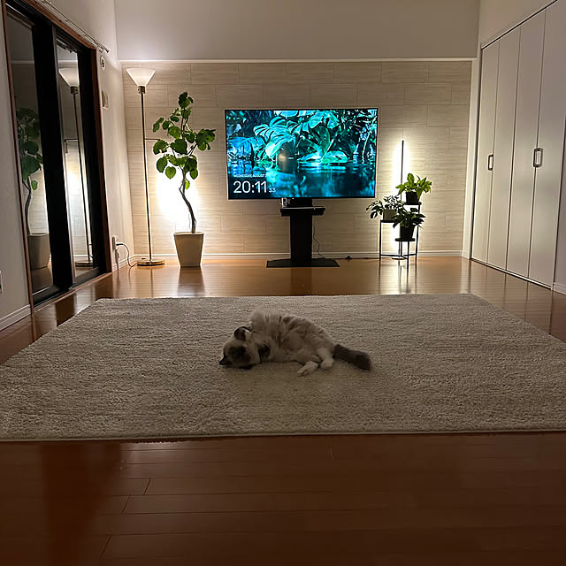 luluさんの部屋