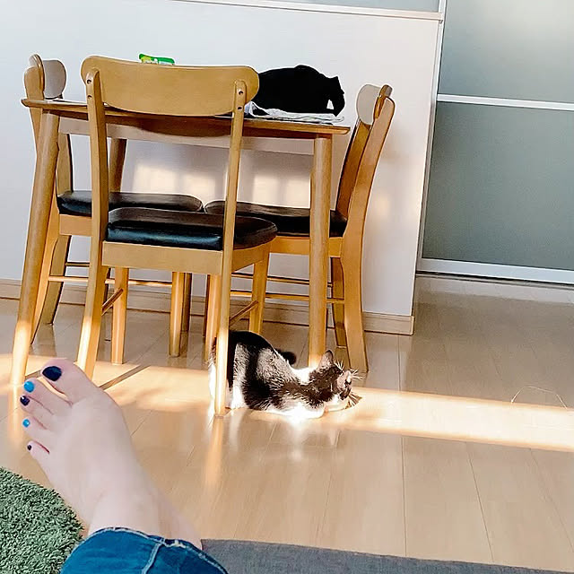 viraさんの実例写真