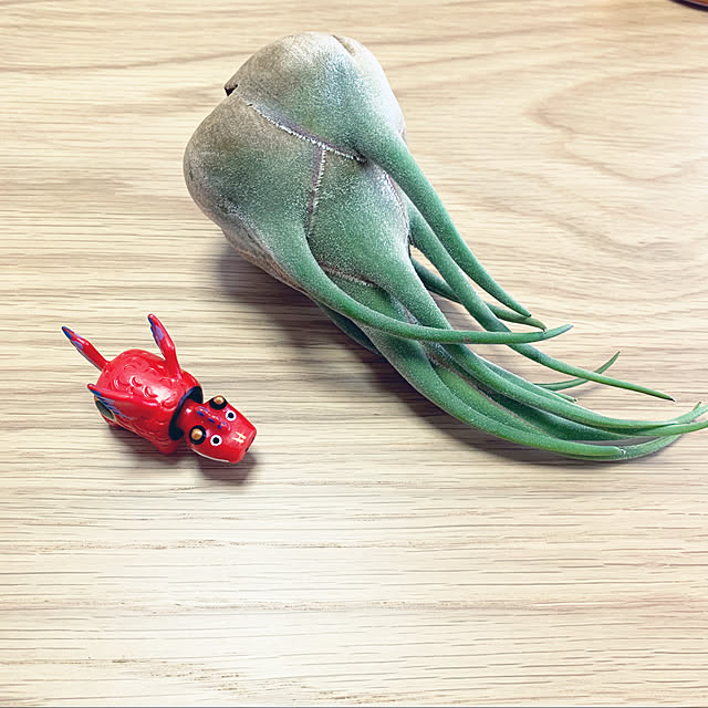 kuromiさんの実例写真