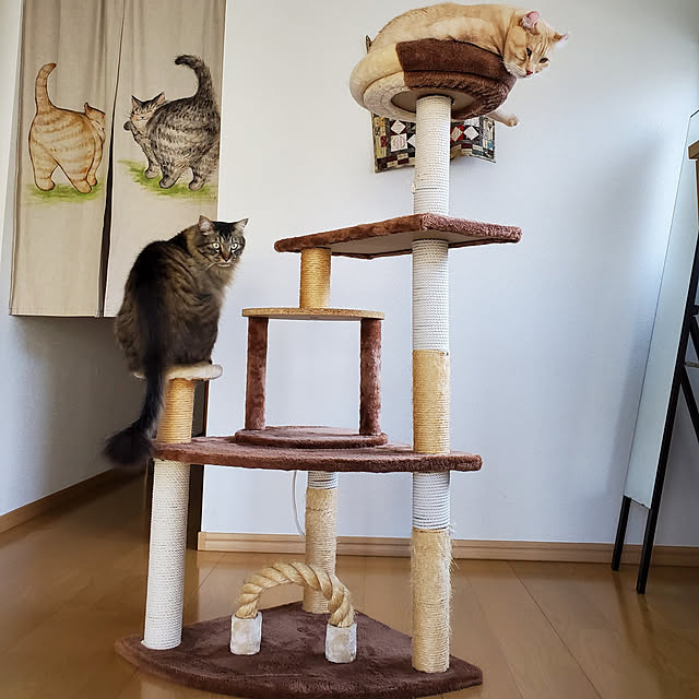 makoさんの実例写真