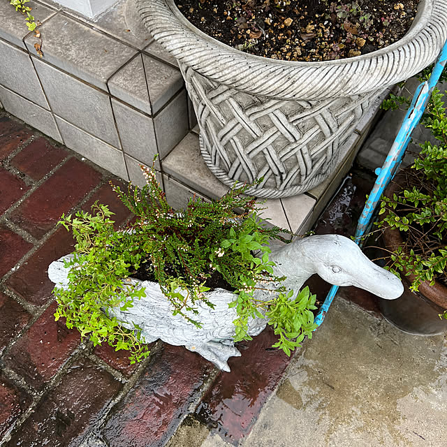 AYUKOさんの部屋