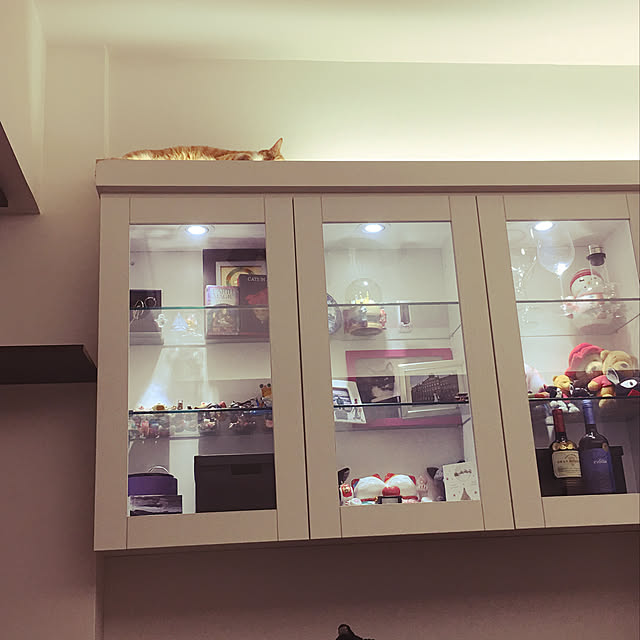 blueさんの実例写真