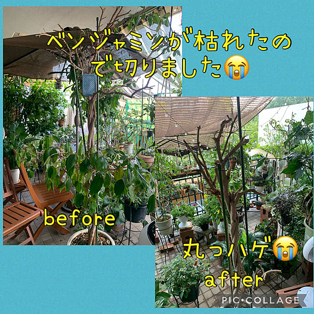 Aqettyさんの実例写真