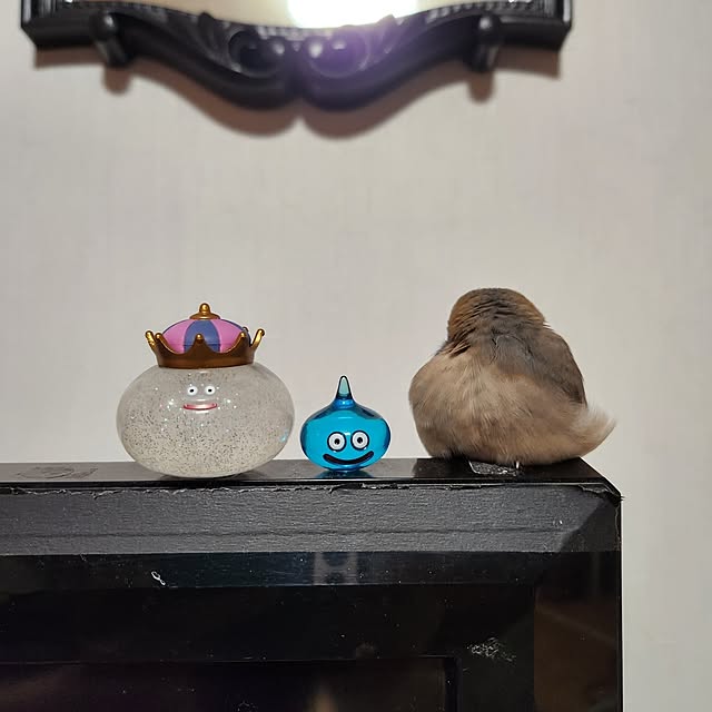 Mariさんの部屋