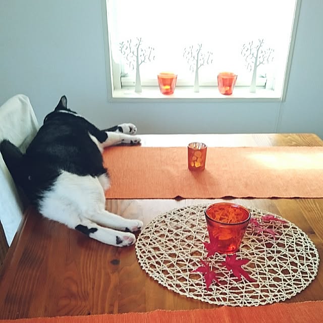 hiyo.pietさんの実例写真