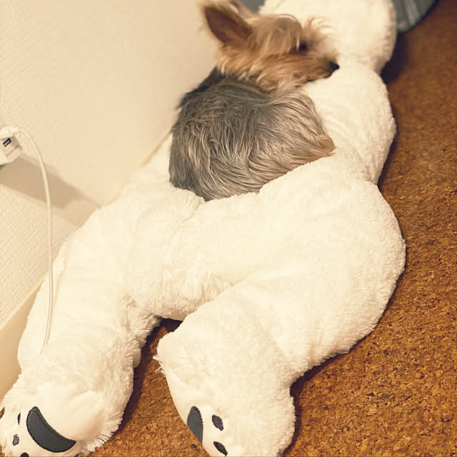 ohanaさんの実例写真