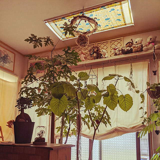 kouheiyuto24623takaさんの実例写真