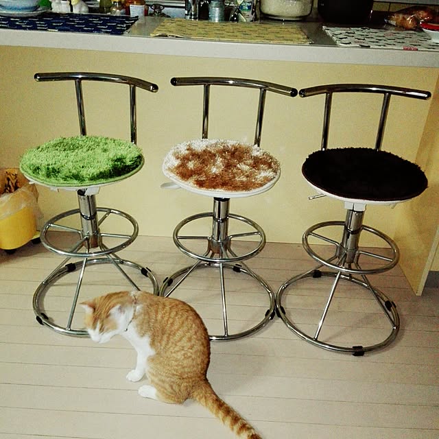 Toyomiさんの実例写真