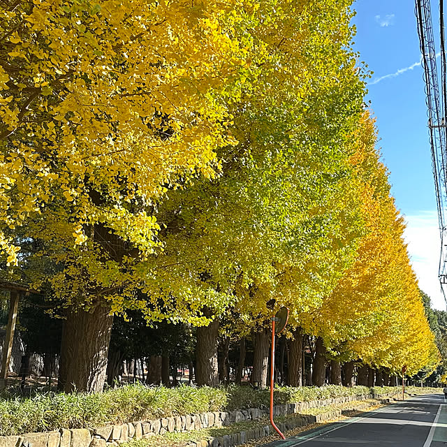 mizucchiさんの部屋