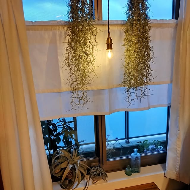 Petit_Pommierさんの実例写真