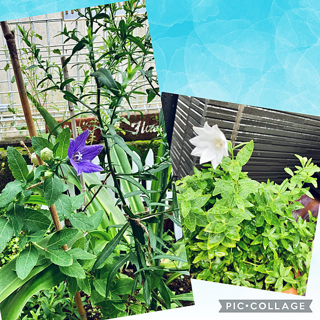 CoCo0617さんの実例写真