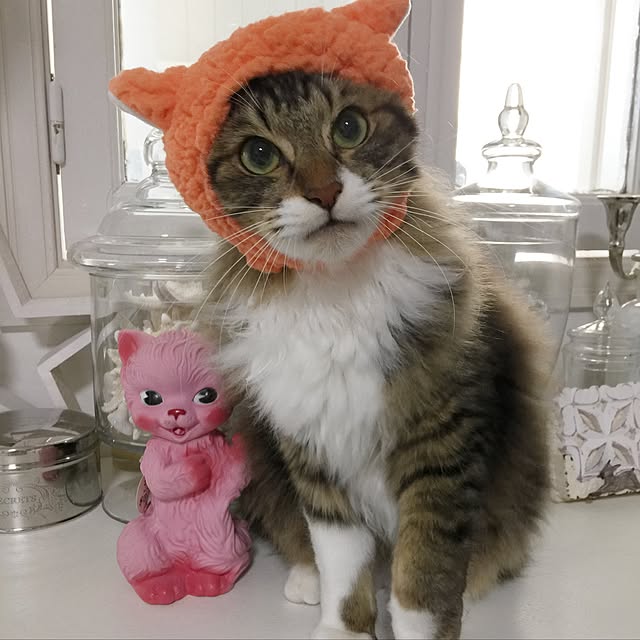 yuchiさんの実例写真
