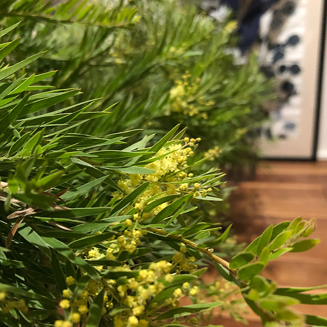 nuruiさんの実例写真
