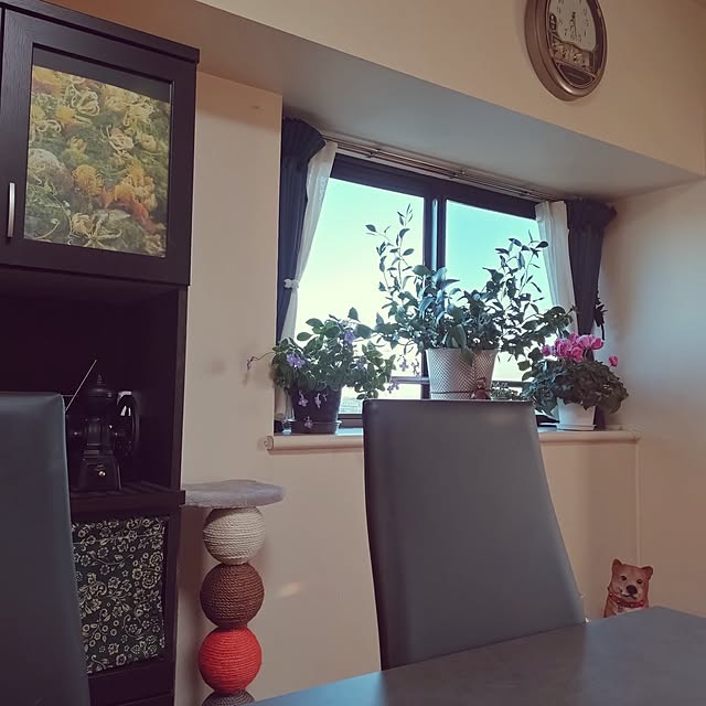 NOAHさんの部屋