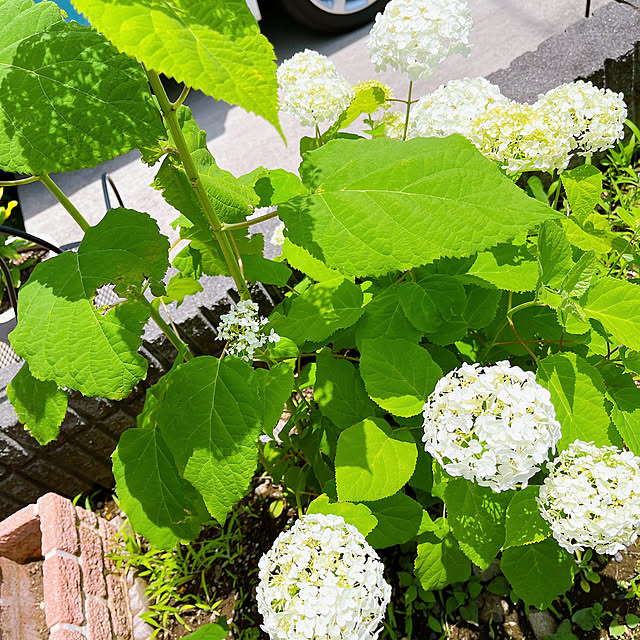 eriharuさんの部屋