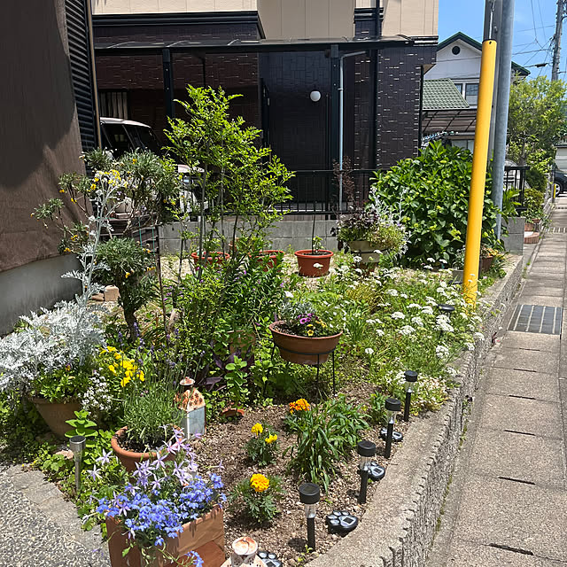ritsukoさんの部屋