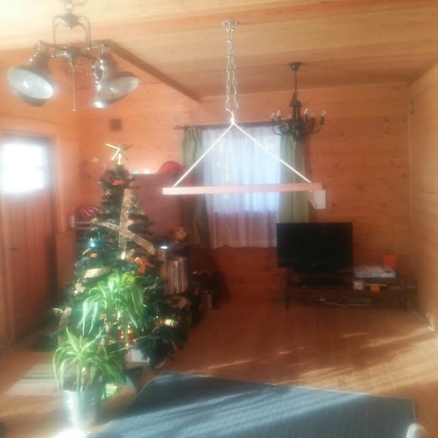 リビング/クリスマスツリー/BESSの家のインテリア実例 - 2015-12-19 14:11:50