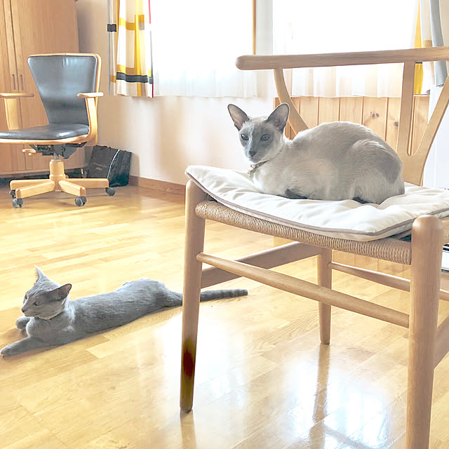mujinekoさんの実例写真