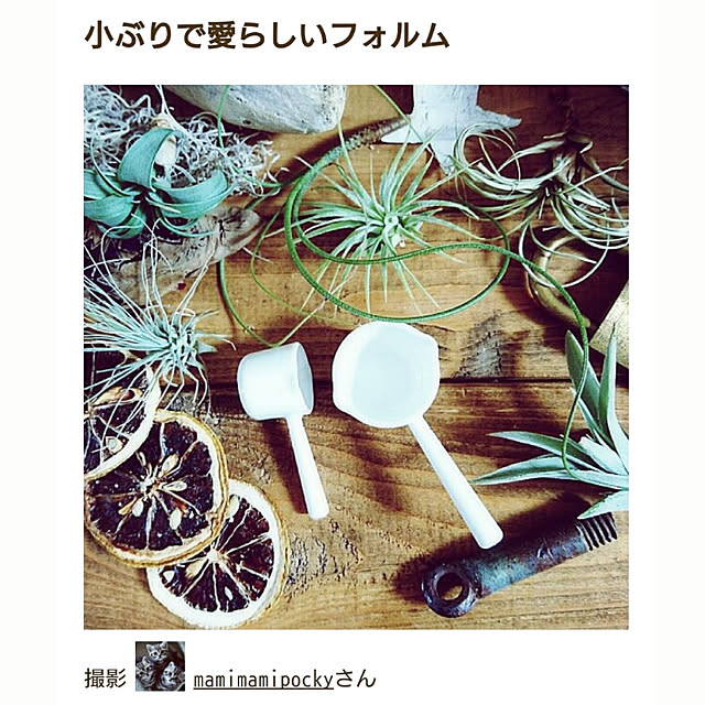 mamimamipockyさんの実例写真
