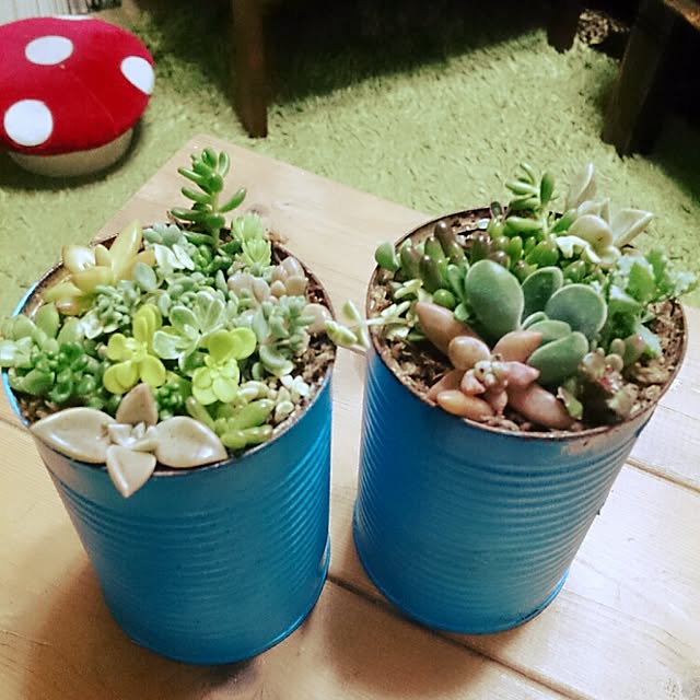 実例写真