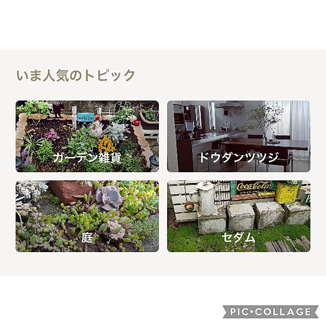 CoCo0617さんの実例写真