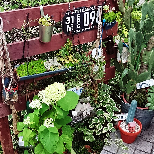 highig16さんの実例写真
