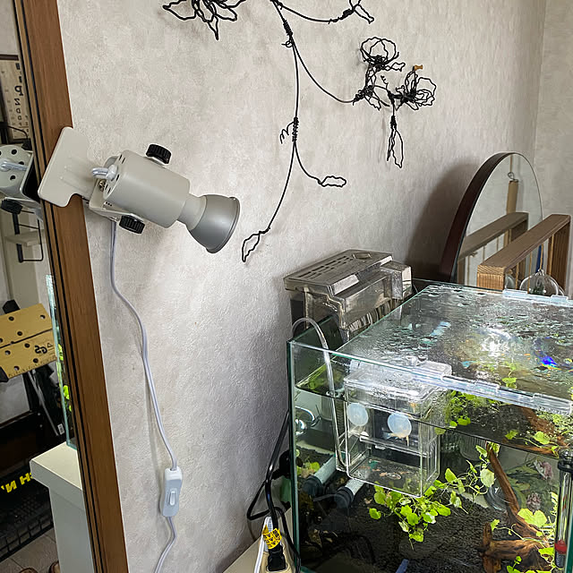 mimoza.さんの実例写真