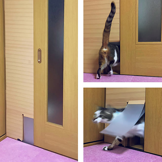 haruminさんの実例写真