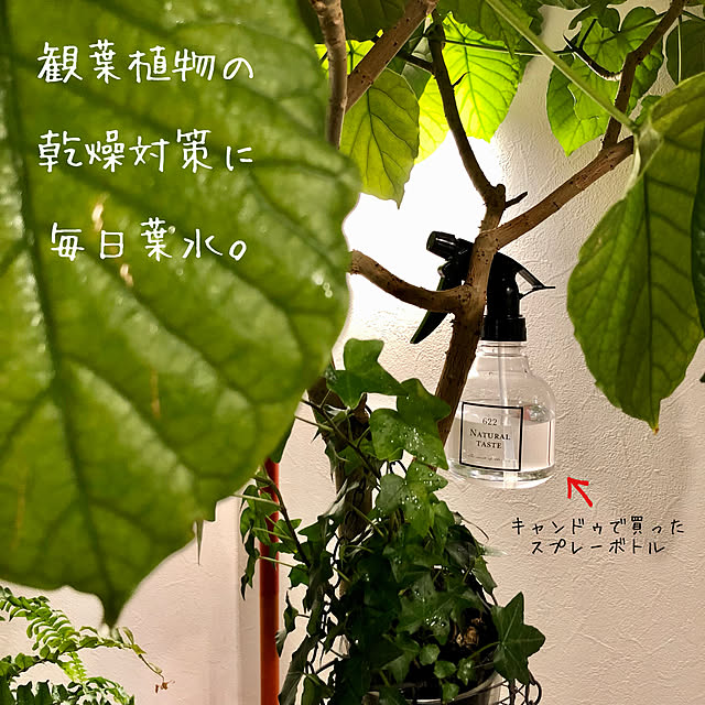 soramameさんの実例写真