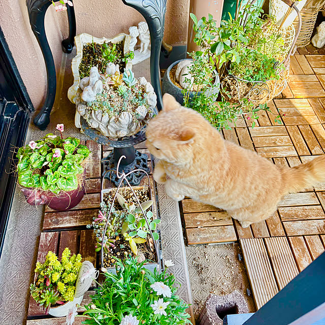 naokoさんの部屋