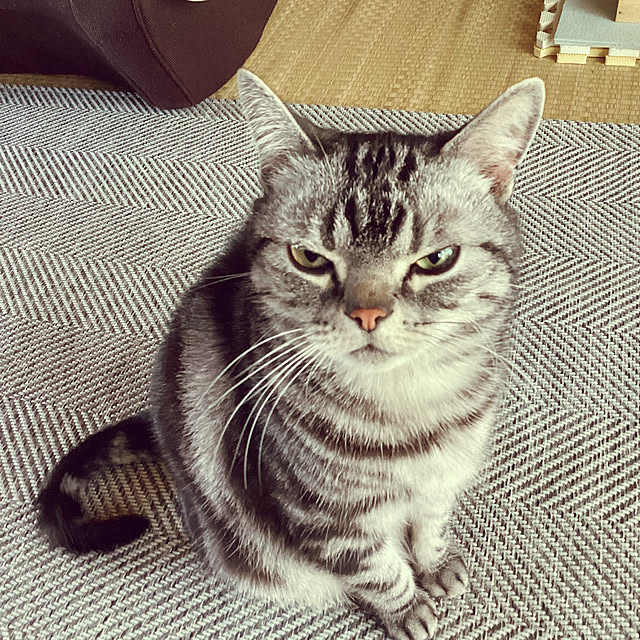 richanさんの部屋
