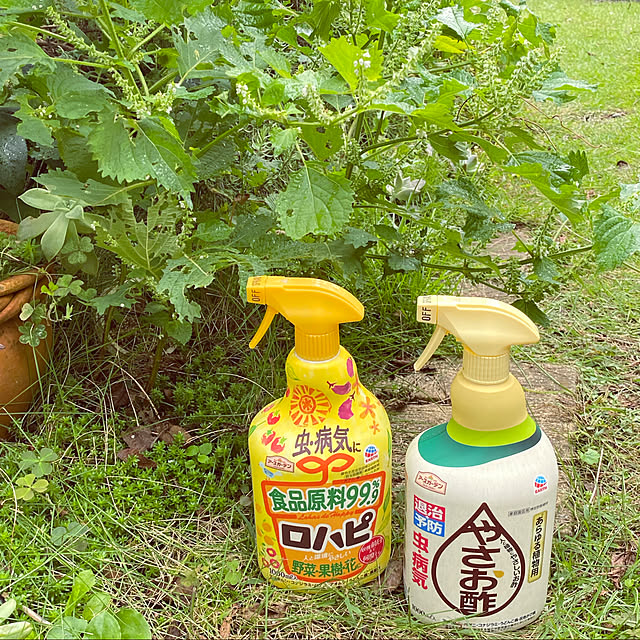 mintteaさんの実例写真
