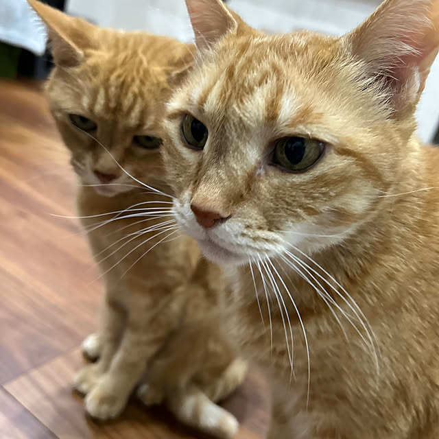 mikeume7さんの部屋