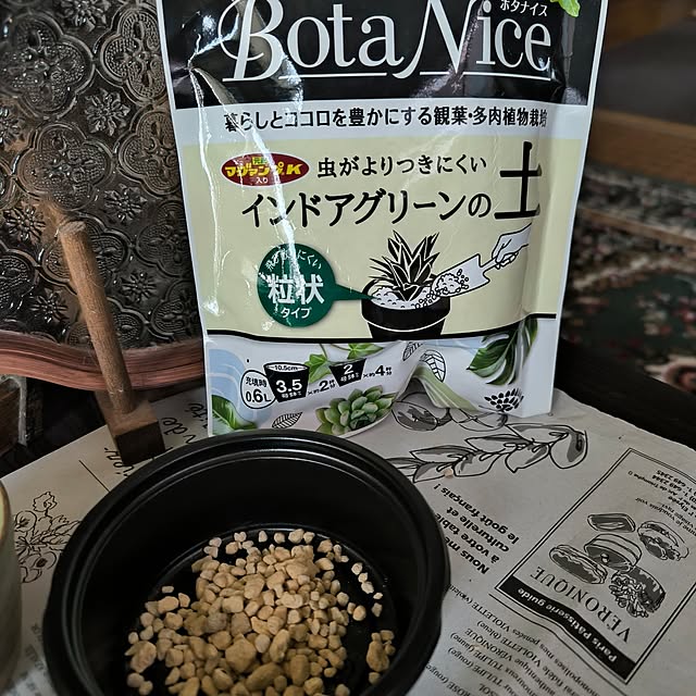 koyutan-mjmさんの部屋