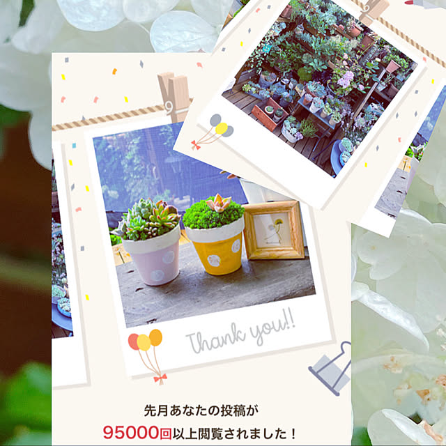 mintteaさんの実例写真