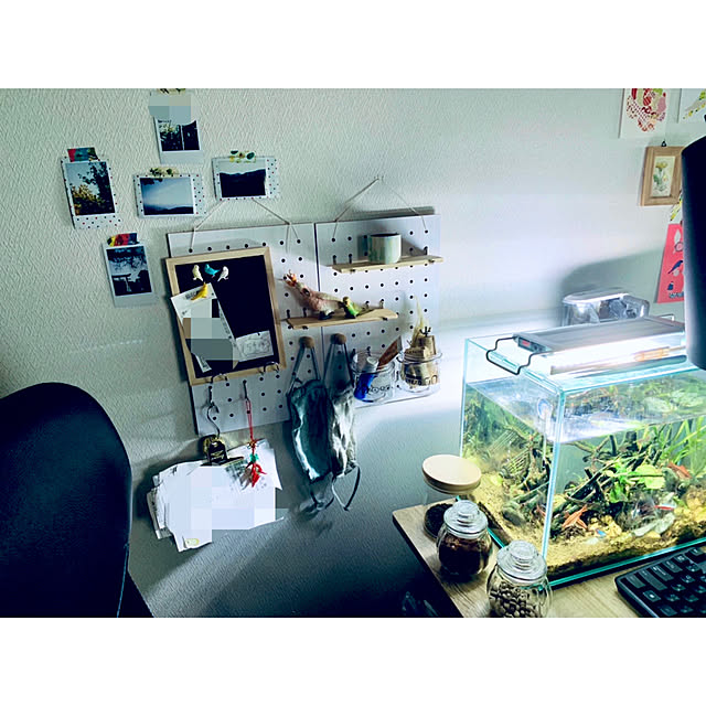 parrotさんの実例写真