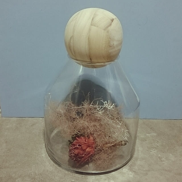 mademoisellenoaさんの実例写真