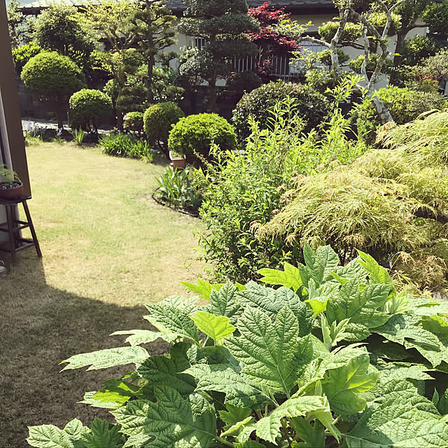 Takenoyaさんの実例写真