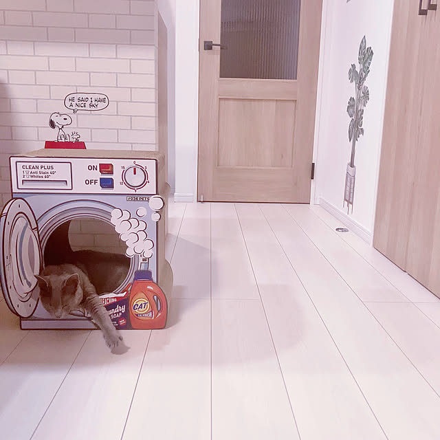 snoopyさんの実例写真