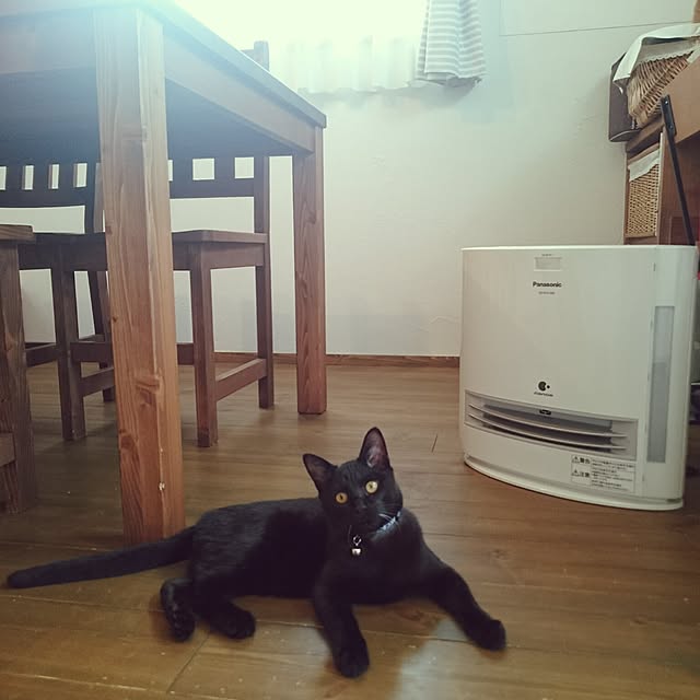 hiroさんの実例写真