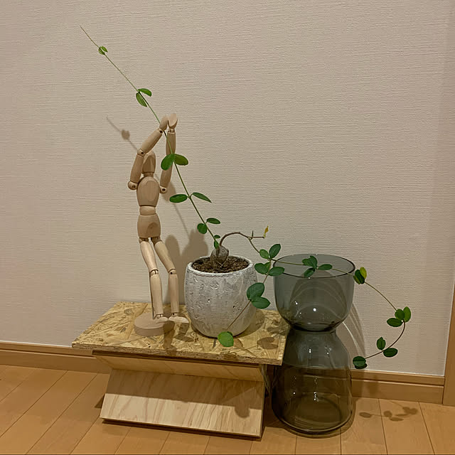 KN.929さんの実例写真