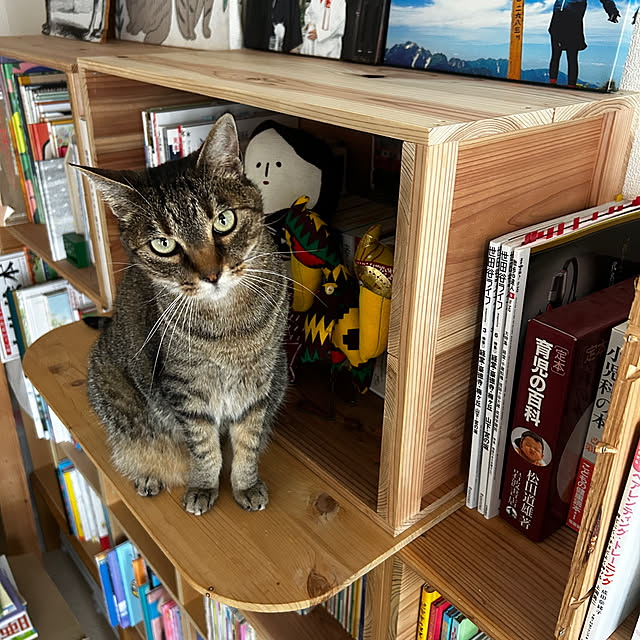mikomaruさんの部屋