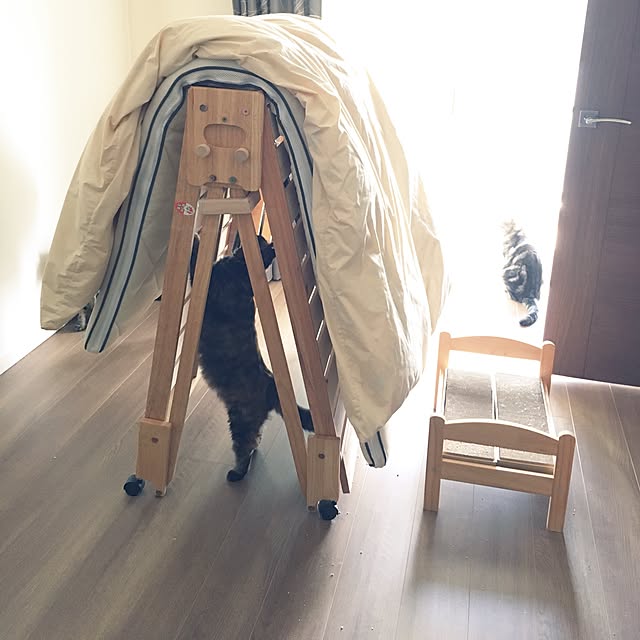 mikomaruさんの実例写真