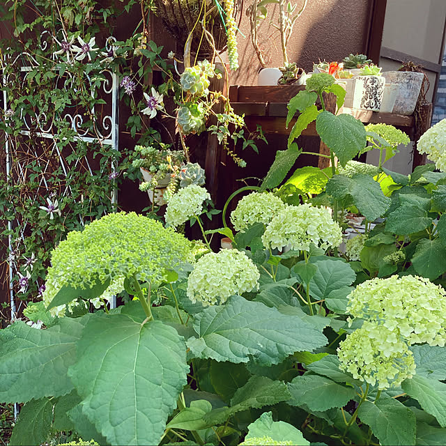 takakoさんの実例写真