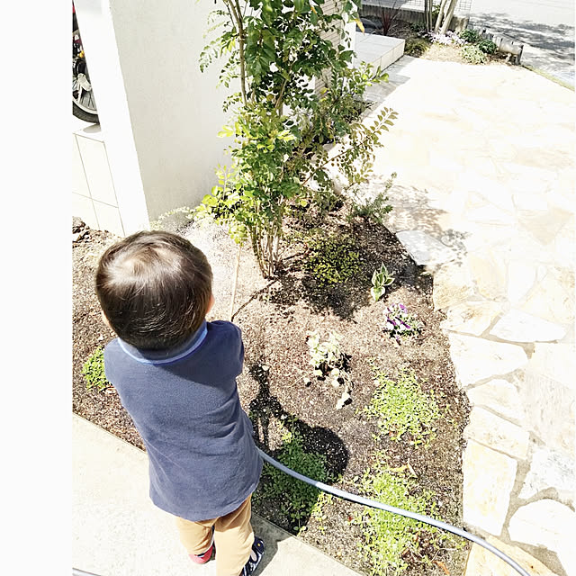 kodaminさんの実例写真