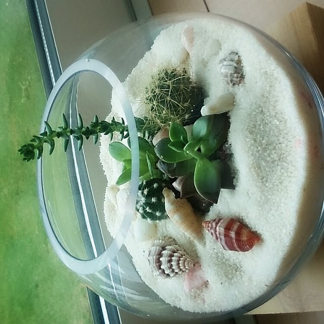 himino0415さんの実例写真