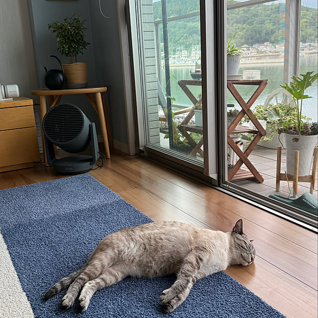 amさんの部屋