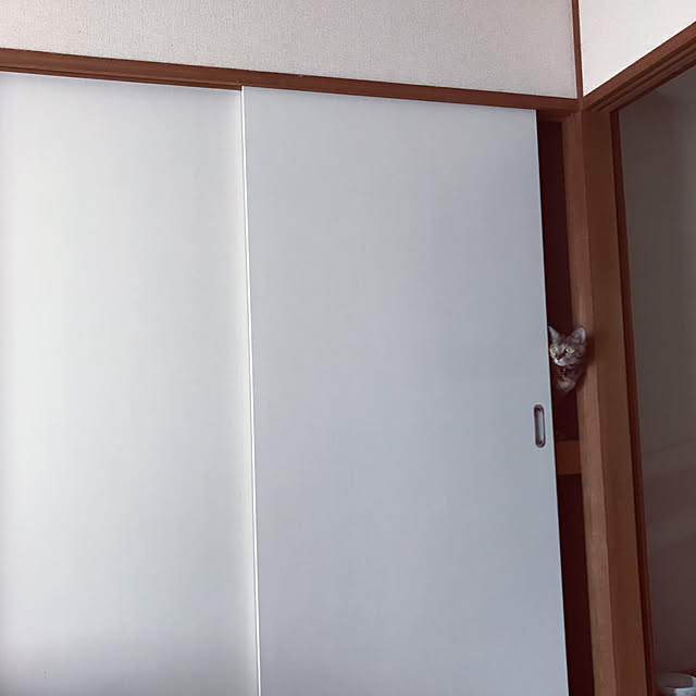 ベッド周り/片付け/隠す収納/猫と暮らす/ペット...などのインテリア実例 - 2017-08-11 13:14:30