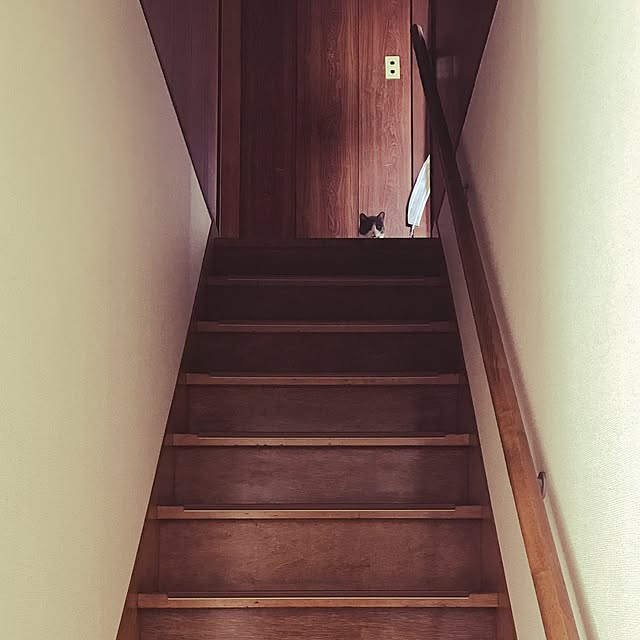 hacchiさんの実例写真