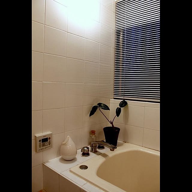 KAZさんの実例写真